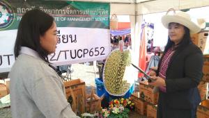 ข่าวกิจกรรม